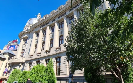 Conducerea ASE neagă informația că spațiile facultății sunt infestate cu ploșnițe: Verificările efectuate nu au evidențiat insecte și nici alte indicii care să confirme existența unei infestări / Mobilierul reclamat a fost izolat și scos din uz