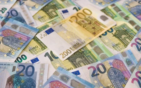 Fluxul net de investiţii străine directe a urcat la 7,9 miliarde de euro în anul 2025, arată datele BNR