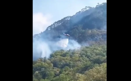 Agent Green, după mobilizarea a două elicoptere Black Hawk la incendiul din Domogled: „Dacă această mobilizare este posibilă în ziua 51, de ce nu a fost posibilă în ziua 10, 20 sau 30?” / Gabriel Păun cere sprijin european suplimentar