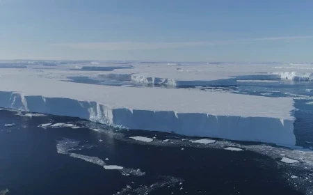 Securitatea Arcticii va fi plasată și sub supravegherea NATO, în urma acordului încheiat între Groenlanda, Danemarca și SUA, afirmă Copenhaga