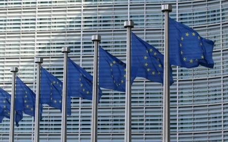 Excedentul balanţei comerciale al Uniunii Europene din schimburile cu produse agroalimentare în primul semestru s-a mărit cu 1,4 miliarde de euro peste cel înregistrat în aceeaşi perioadă a anului trecut