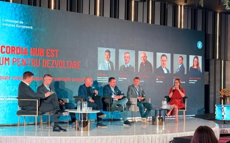Antreprenor: „Botoșani, Bacău, Buzău n-au nicio șansă pe termen lung” / „Orașele care pierd populație trebuie lăsate să moară, iar banii duși acolo unde pot să producă valoare”  
