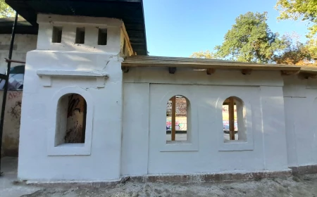 VIDEO FOTO Uszoda, ștrandul de 100 de ani din Timișoara, salvat de voluntarii de la Ambulanța pentru Banat / Ferestre ascunse sub tencuială și graffiti