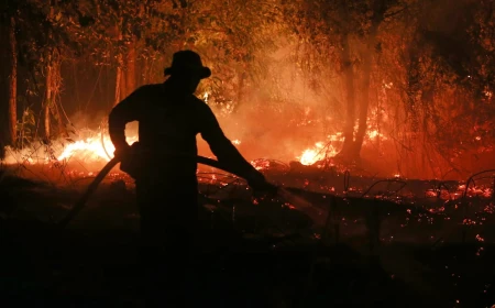El Niño-driven heat could cause half a million extra deaths, report says. Here's where