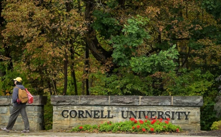 What to know about Cornell's alleged frat house gang-rape case and the 'Cornell 7'