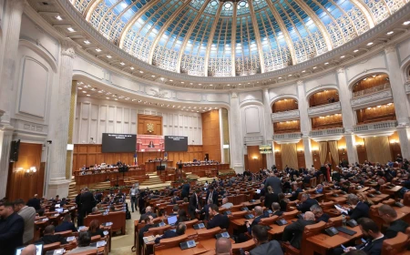 Institutul ”Elie Wiesel” critică decizia parlamentarilor care au retrimis în comisii îndreptarea unei controverse din legea ”comemorării legionarilor” / 16 august urma să înlocuiască 14 mai, dată asociată cu mișcarea criminală interbelică