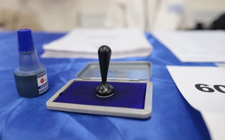 Proiectul de lege privind alegerile anticipate va fi pus în transparenţă săptămâna viitoare, anunță preşedintele Autorităţii Electorale Permanente