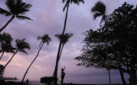 Hawaii readies for arrival of Hurricane Nolo amid risks of catastrophic flooding