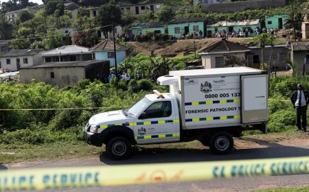 Mass shooting at house party in South Africa leaves 11 dead, 3 wounded: police