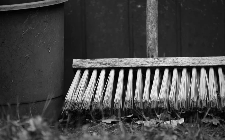 Primăria Timișoara vrea măturători plătiți cu ora / Caută o firmă care să aducă ”la nevoie” 20 de zilieri la curățenia stradală / Plătește 160.000 de euro pentru doi ani