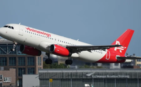 Aeroportul Cluj: AnimaWings a anulat zborurile spre Viena și Frankfurt, din motive comerciale / BoardingPass: Căutați cât mai rapid bilete de avion pe zboruri alternative. n acest moment e neclar câte rute vor fi afectate