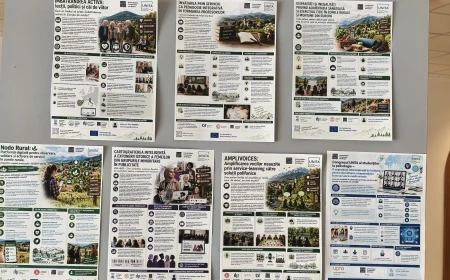 Macheta 3D a unei cetăți dispărute / Proiect la Brașov pentru descoperirea ruinelor de pe Dealul Lempeș