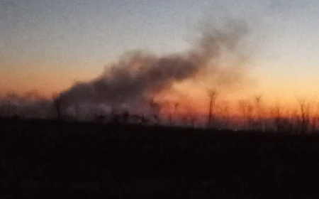 Ministra Mediului a cerut prefecturilor din Ilfov și București instituirea stării de alertă în Sintești, pe fondul arderilor ilegale de deșeuri