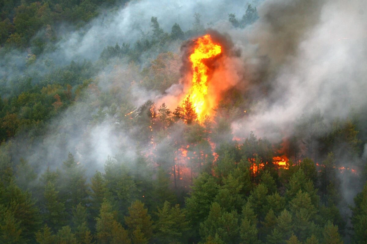 Două aeronave C-27J Spartan ale Forțelor Aeriene Române acționează și vineri pentru stingerea incendiului de pădure declanșat în zona Băile Olănești