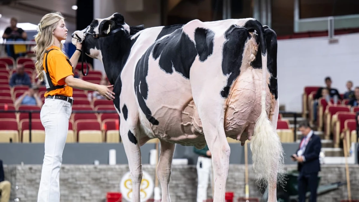 Canada scores a dairy win on U.S. soil as farmers grumble about Trump's trade war