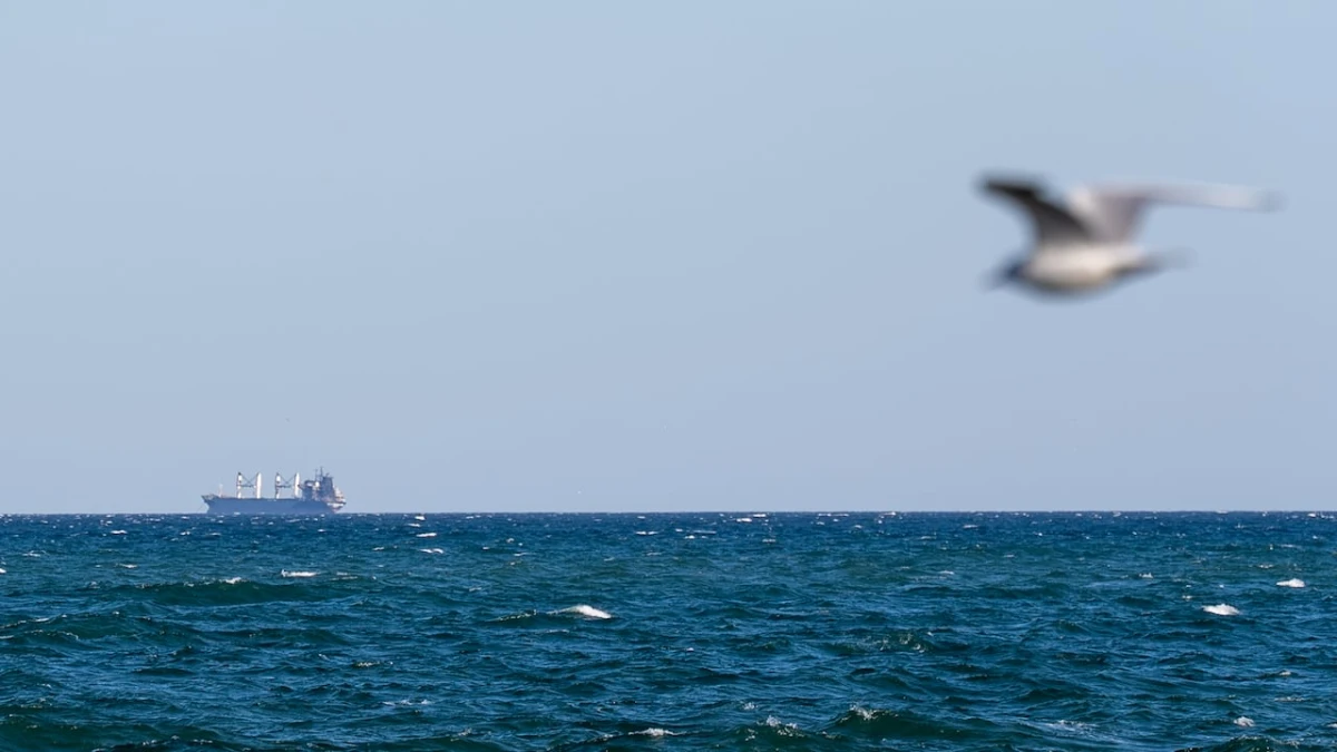 The Black Sea is the most dangerous it's been since the start of Russia’s war. And it's choking global grain