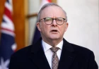 How AI hacked the Australian government and almost got away with it | About That