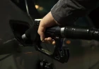 Trump anunță că Europa a convenit să elibereze o cantitate masivă din rezervele sale de motorină, un pas esențial pentru a evita blocarea exporturilor americane
