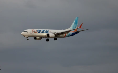 Atacatorul de la bordul avionului Flydubai și pilotul rănit au fost transferați în Emiratele Arabe Unite