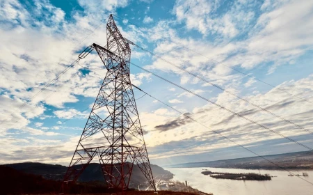 Transelectrica, abilitată de guvern să ia măsuri în situaţii de criză, inclusiv prin reducerea exportului de energie electrică sau limitarea consumului intern