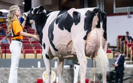 Canada scores a dairy win on U.S. soil as farmers grumble about Trump's trade war