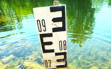 Nivel record de stres termic în Europa, timpul celei mai calde veri din istoria recentă / Am avut cele mai scăzute debite fluviale înregistrate vreodată