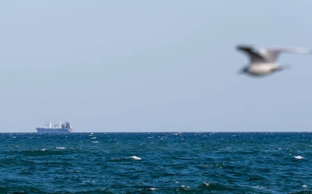 The Black Sea is the most dangerous it's been since the start of Russia’s war. And it's choking global grain