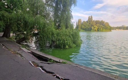 Primăria Capitalei modifică proiectul de reabilitare a malurilor Lacului Herăstrău / Ciucu: „Nu pot să-mi imaginez un Herăstrău cu o alee de doi metri de beton în jurul lacului”