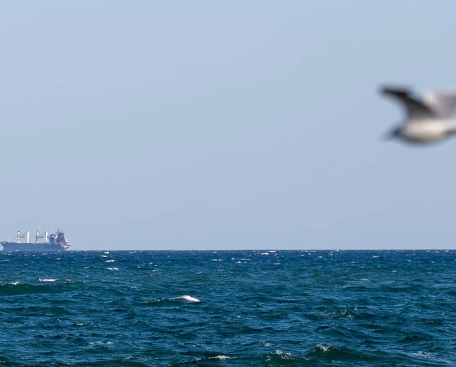The Black Sea is the most dangerous it's been since the start of Russia’s war. And it's choking global grain